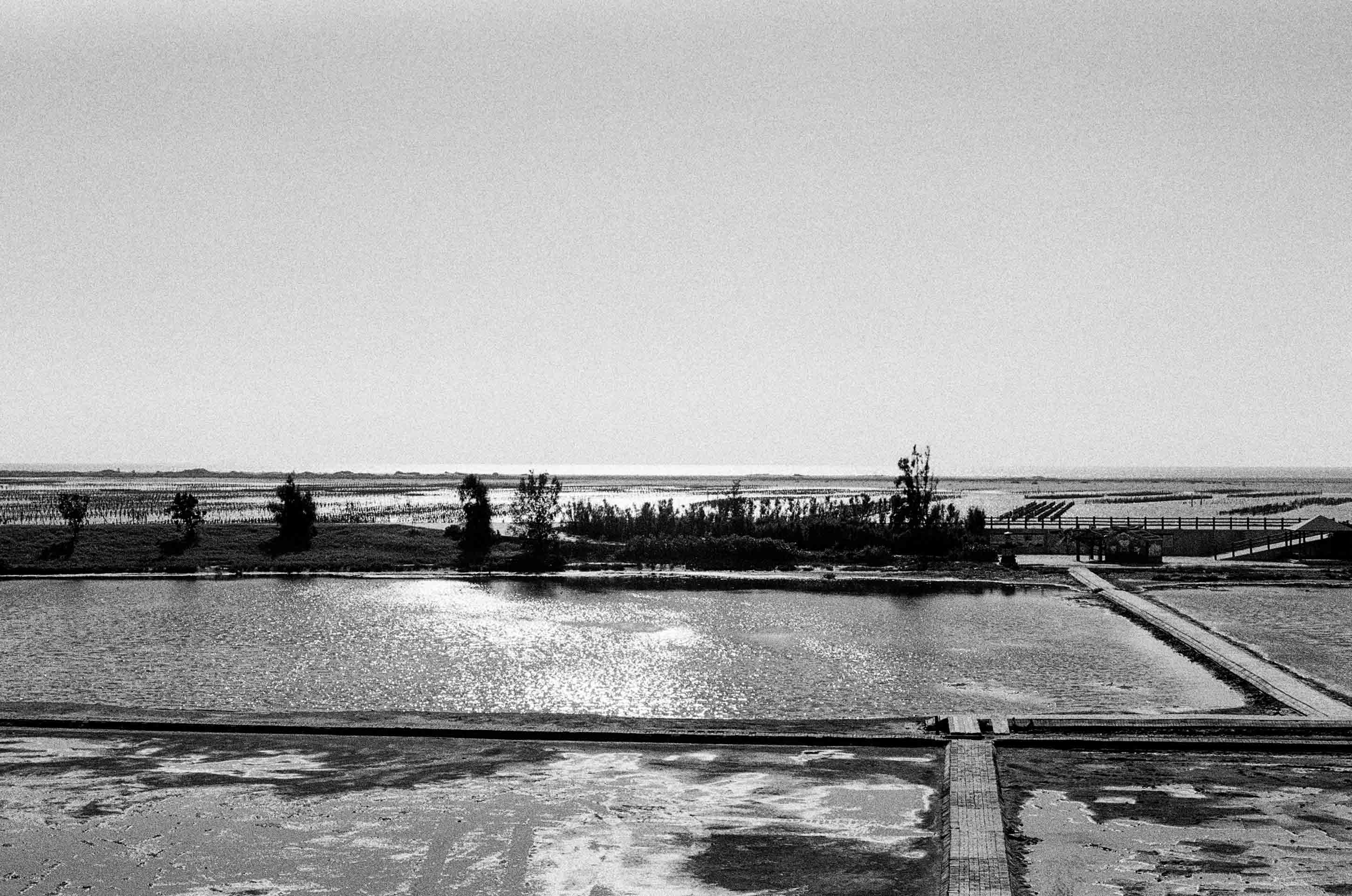 Ilford HP5