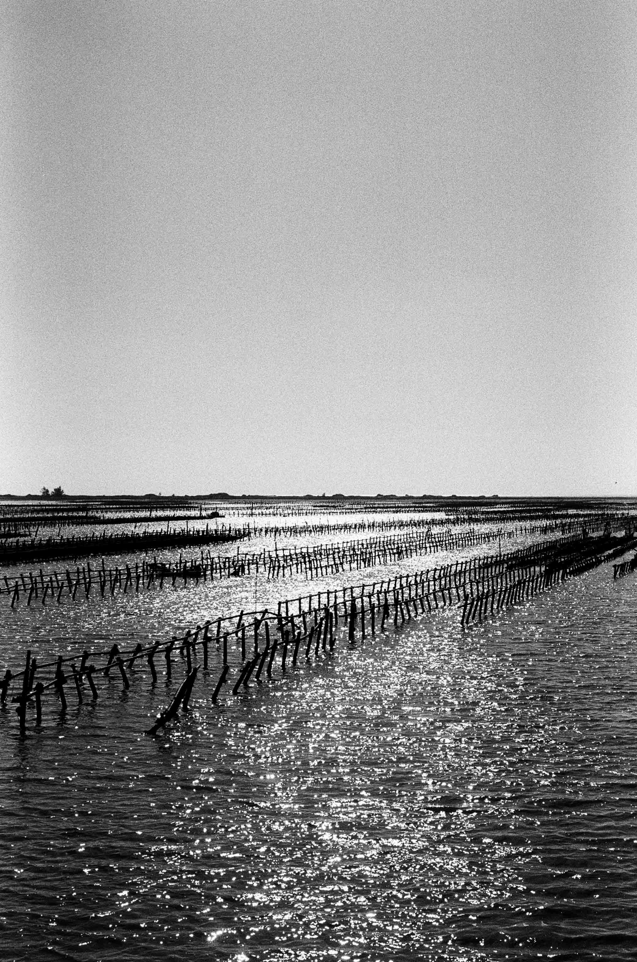 Ilford HP5
